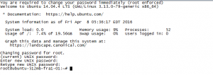root shell access